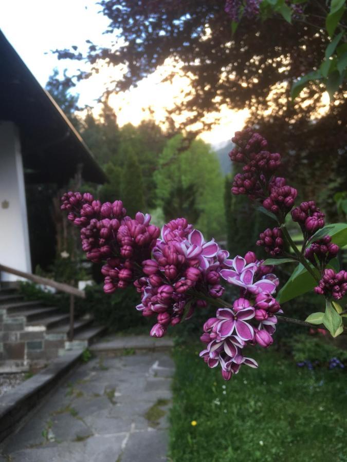 Ferienhaus Wieswald Ehrwald Eksteriør billede