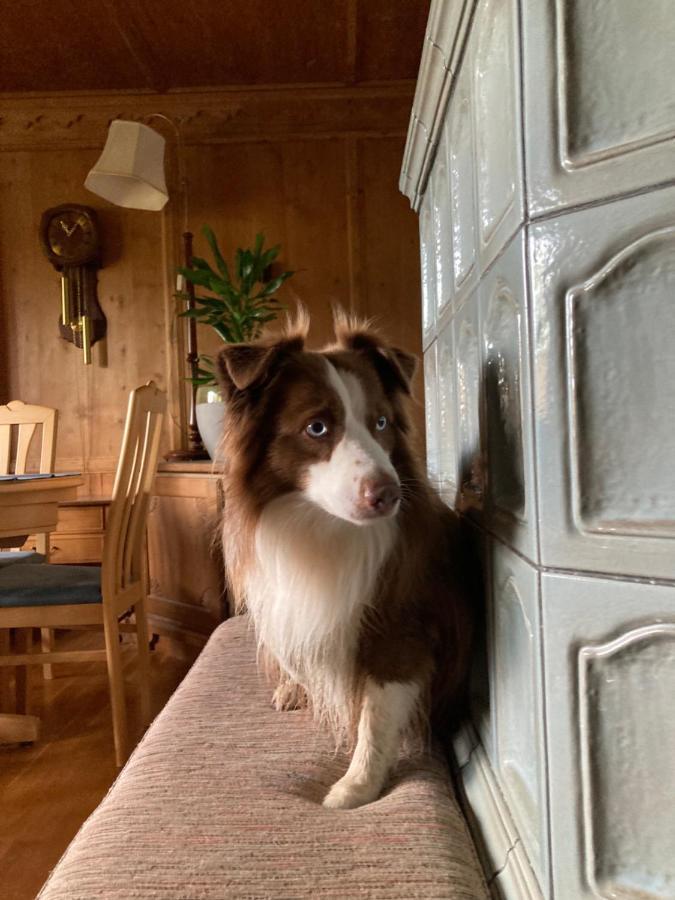 Ferienhaus Wieswald Ehrwald Eksteriør billede